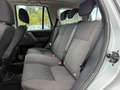 Land Rover Freelander Freelander 2.2 TD4 S.W. SE Grigio - thumbnail 9
