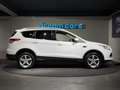 Ford Kuga 2,0l TDCI / TITANIUM / Allrad / Notbremsassistent Weiß - thumbnail 11