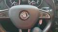 Skoda Yeti Yeti Elegance 2,0 TDI 4x4 DSG Elegance Weiß - thumbnail 4