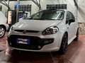 Fiat Punto Evo Punto Evo 5p 1.6 mjt Emotion 120cv dpf Bianco - thumbnail 2