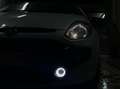Fiat Punto Evo Punto Evo 5p 1.6 mjt Emotion 120cv dpf Wit - thumbnail 6