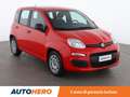 Fiat Panda 1.0 Mild-Hybrid Easy MHEV Rosso - thumbnail 8