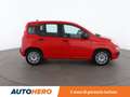 Fiat Panda 1.0 Mild-Hybrid Easy MHEV Rosso - thumbnail 7