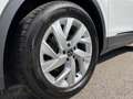 Volkswagen Tiguan 2,0 TDI Elegance DSG | NP €48.700 Weiß - thumbnail 37