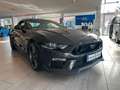 Ford Mustang Mach 1 *MagneRide* Schwarz - thumbnail 3