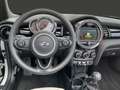MINI Cooper Cabrio Cooper DAB Klimaaut. PDC Grau - thumbnail 11