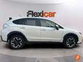 Subaru XV 1.6i Executive CVT Blanco - thumbnail 2
