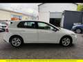 Volkswagen Golf Golf 1.0 TSI OPF 110 BVM6 Life Business Blanc - thumbnail 4