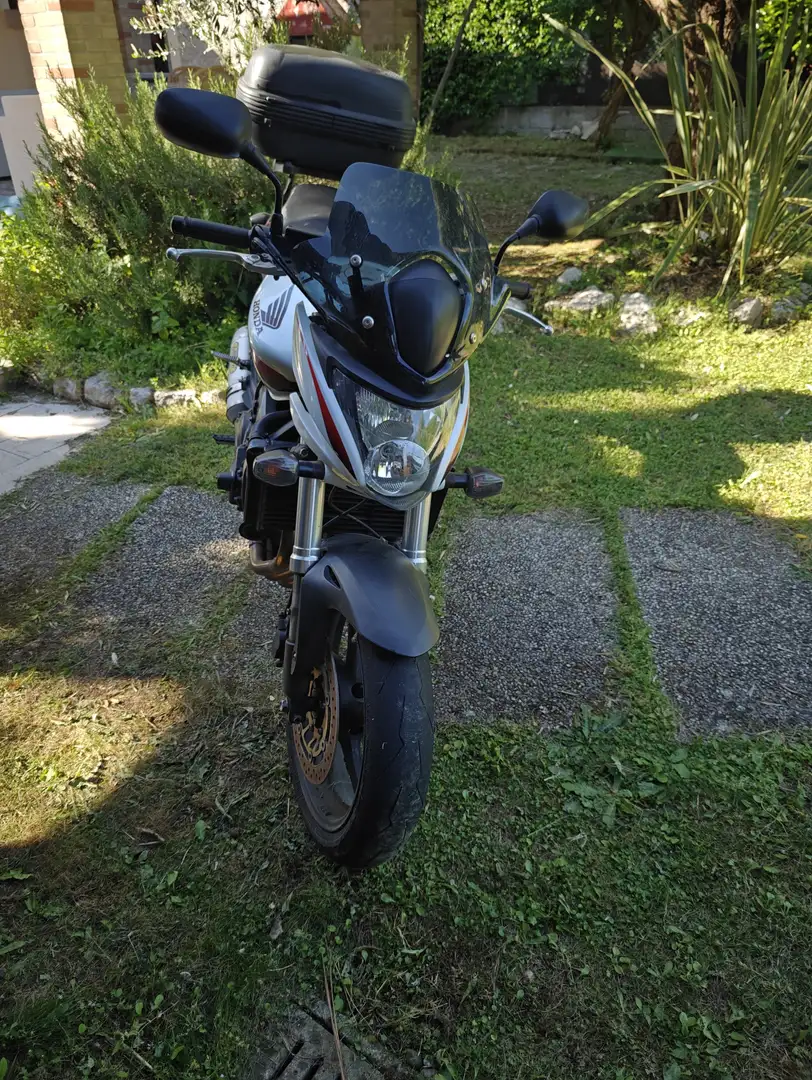 Honda Hornet Bílá - 2