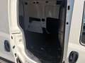 Fiat Doblo Doblò 1.6 MJT 105CV PC-TN Cargo Lamierato SX Blanco - thumbnail 12