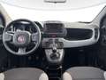 Fiat New Panda Panda 1.0 firefly hybrid City Life s&s 70cv 5p.ti Grau - thumbnail 9