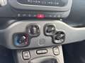 Fiat New Panda Panda 1.0 firefly hybrid City Life s&s 70cv 5p.ti Grau - thumbnail 12