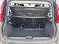 Fiat New Panda Panda 1.0 firefly hybrid City Life s&s 70cv 5p.ti Grau - thumbnail 4