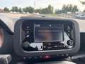 Fiat New Panda Panda 1.0 firefly hybrid City Life s&s 70cv 5p.ti Grau - thumbnail 17