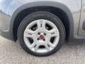 Fiat New Panda Panda 1.0 firefly hybrid City Life s&s 70cv 5p.ti Grau - thumbnail 5