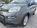 Fiat New Panda Panda 1.0 firefly hybrid City Life s&s 70cv 5p.ti Grau - thumbnail 6