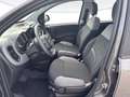 Fiat New Panda Panda 1.0 firefly hybrid City Life s&s 70cv 5p.ti Grau - thumbnail 7