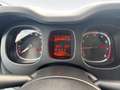 Fiat New Panda Panda 1.0 firefly hybrid City Life s&s 70cv 5p.ti Grau - thumbnail 10