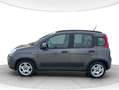 Fiat New Panda Panda 1.0 firefly hybrid City Life s&s 70cv 5p.ti Grau - thumbnail 2