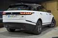 Land Rover Range Rover Velar 2.0D I4 MHEV S 4WD Aut. 204 - thumbnail 4