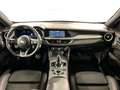 Alfa Romeo Stelvio 2.2 t Tributo Italiano Q4 210cv auto Rosso - thumbnail 9