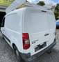 Citroen Berlingo Blanc - thumbnail 3