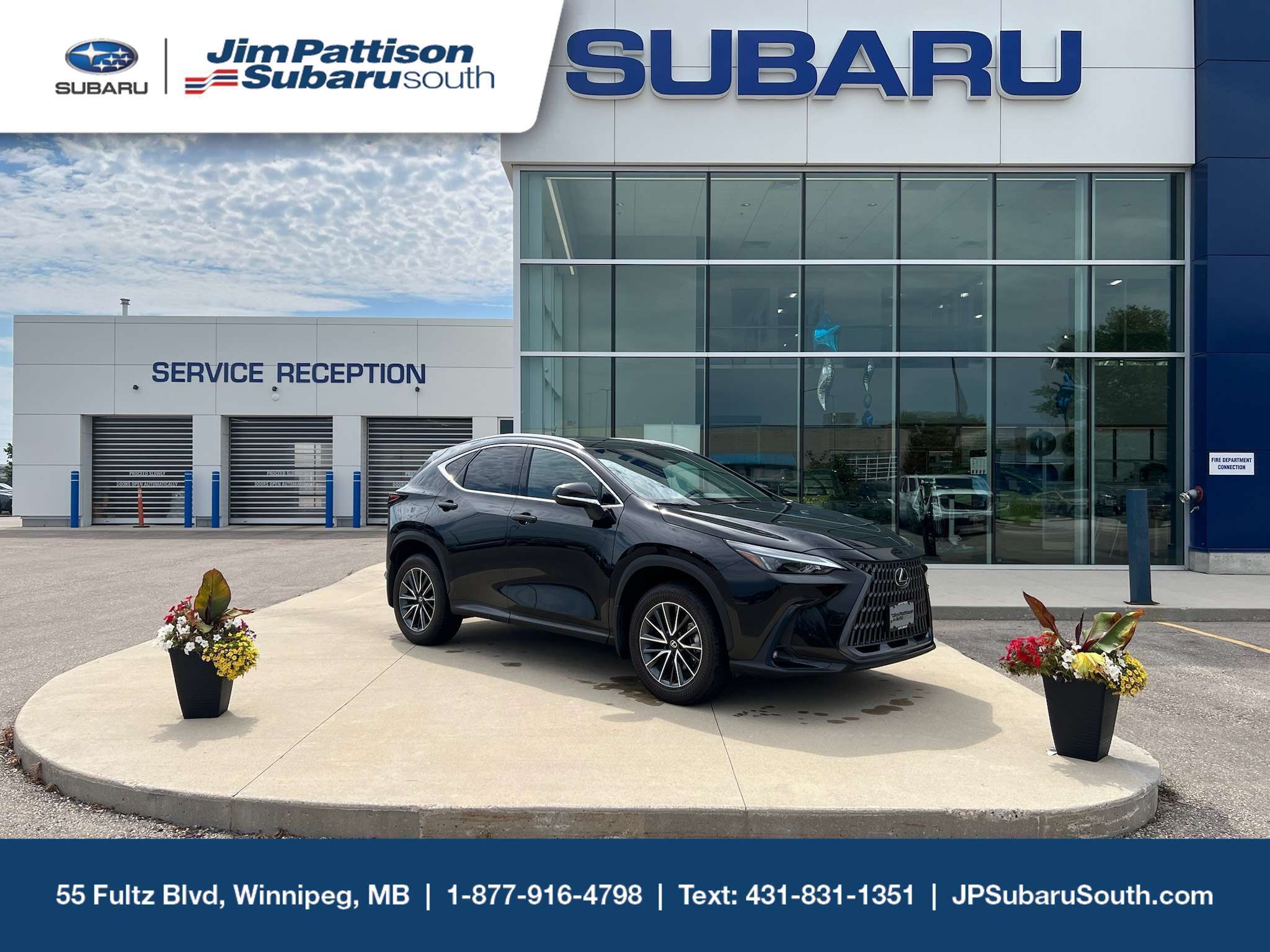 2026 Lexus NX 350 Executive AWD