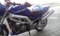 Suzuki SV 1000 Blauw - thumbnail 12