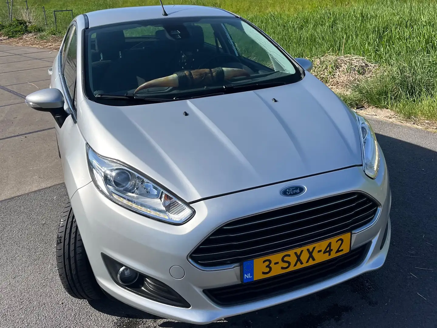 Ford Fiesta Fiesta 1.6 TDCi Lease Tit. Zilver - 1