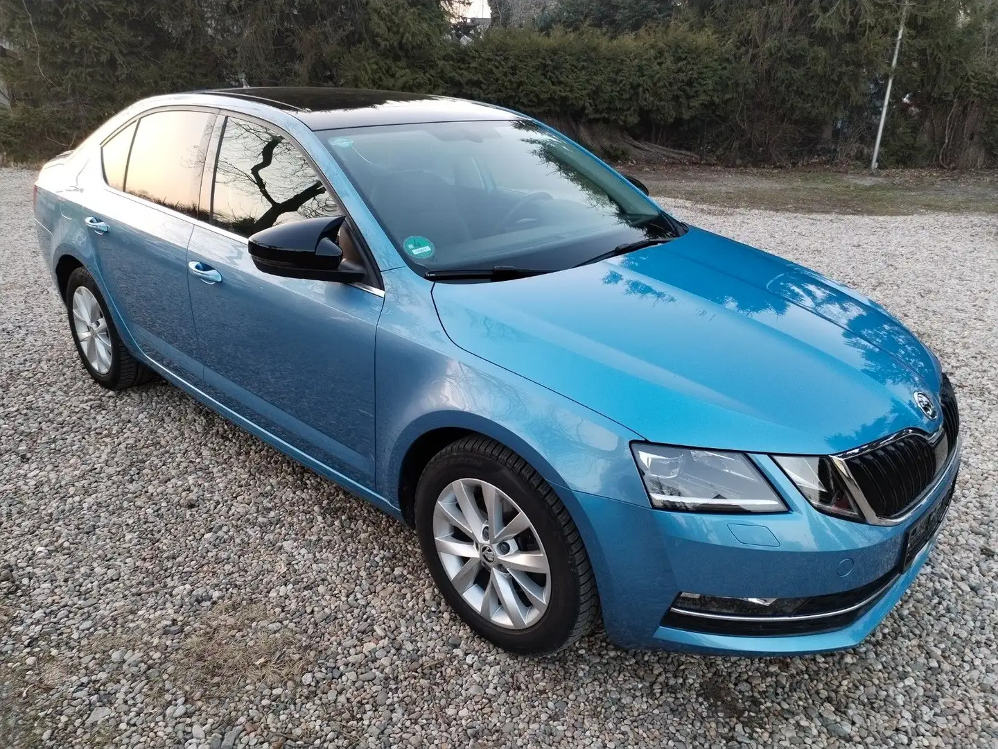 Skoda Octavia 1.4 TSI G-TEC DSG CNG Style Panorama Blau - 2
