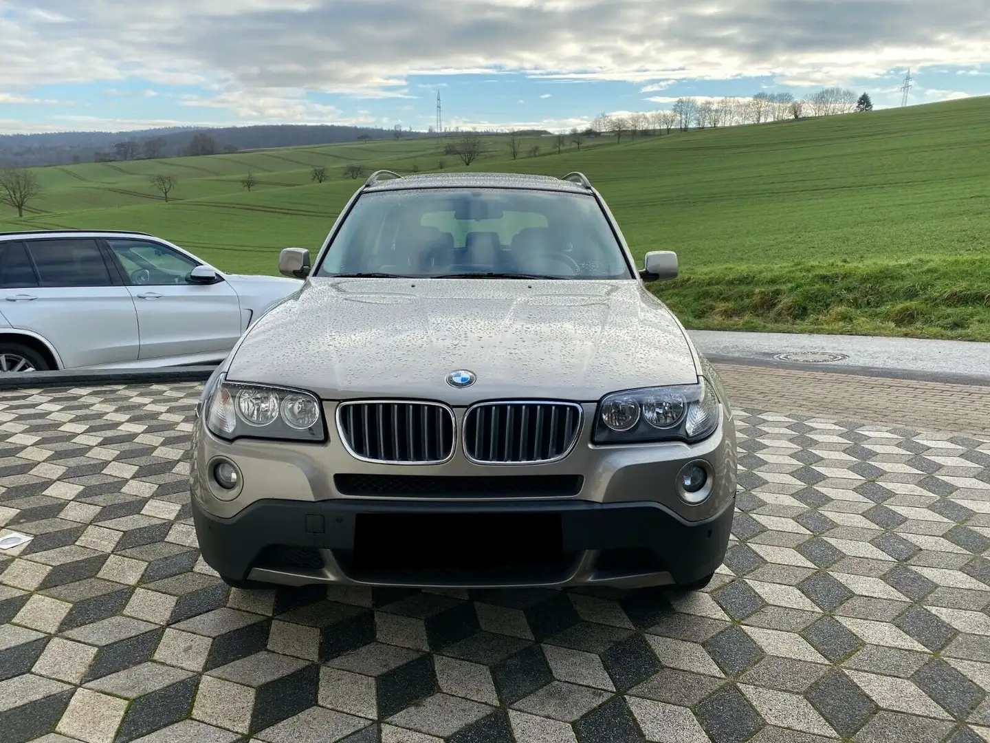 BMW X3 X3 3.0d Aut. Altın - 1