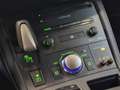 Lexus CT 200h F Sport Line (Climate / Cruise / Navi / PDC & Came Grau - thumbnail 44