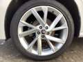 Skoda Kamiq 1.5 TSI Clever *AHK*RFK*Business* Weiß - thumbnail 7