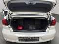 Volkswagen Golf Cabriolet Basis Life*PDC V/H*Sitzheizung*Sportsitze* Weiß - thumbnail 14
