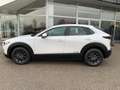 Mazda CX-30 e-Skyactive G140 Prime-Line Weiß - thumbnail 11