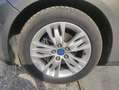Ford Focus Focus 1.6 TDCi 115 CV Titanium Grau - thumbnail 11