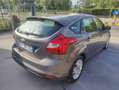Ford Focus Focus 1.6 TDCi 115 CV Titanium Grau - thumbnail 17