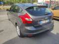 Ford Focus Focus 1.6 TDCi 115 CV Titanium Grau - thumbnail 12