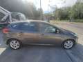 Ford Focus Focus 1.6 TDCi 115 CV Titanium Grau - thumbnail 4