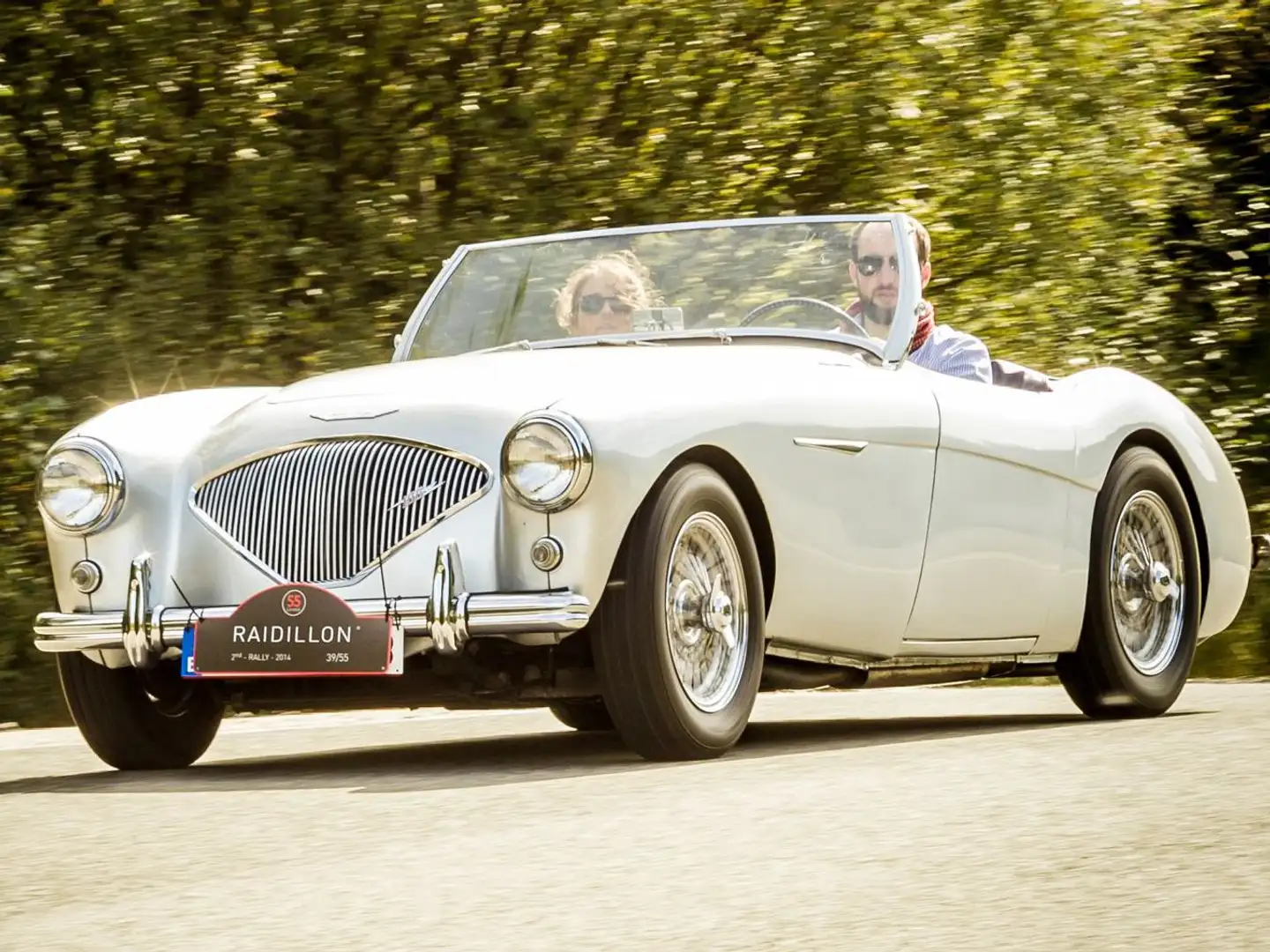 Austin-Healey 100 100/4 BN1 - 1954 Matching numbers - ready to fly ! siva - 2