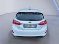 Ford Fiesta 1.5 EcoBlue 5P Business 85 CV Bianco - thumbnail 7