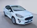 Ford Fiesta 1.5 EcoBlue 5P Business 85 CV Bianco - thumbnail 3