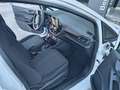 Ford Fiesta 1.5 EcoBlue 5P Business 85 CV Bianco - thumbnail 12