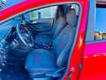 Ford Fiesta Fiesta 5p 5p 1.0 ecoboost h ST-Line 125cv Rosso - thumbnail 5