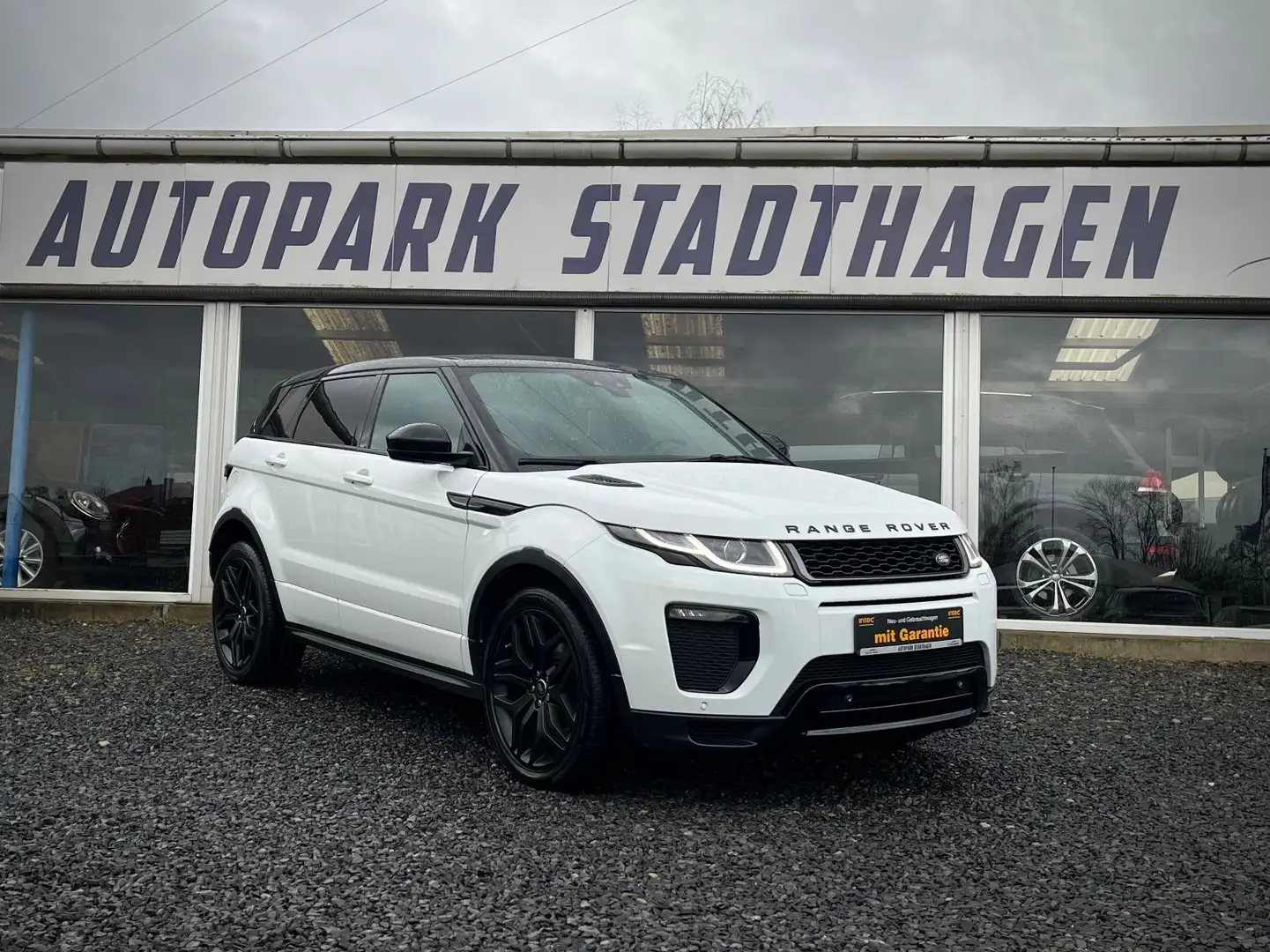 Land Rover Range Rover Evoque HSE Dynamic PANO/KAMERA/20" Weiß - 1