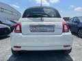 Fiat 500 Edition Mild-Hybrid 51 kW 1.Hand/ 36 Mo. Garantie* Weiß - thumbnail 7