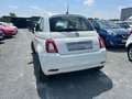 Fiat 500 Edition Mild-Hybrid 51 kW 1.Hand/ 36 Mo. Garantie* Weiß - thumbnail 5
