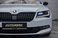 Skoda Superb Kombi 2.0 TDI Sportline 4x4 DSG Weiß - thumbnail 4