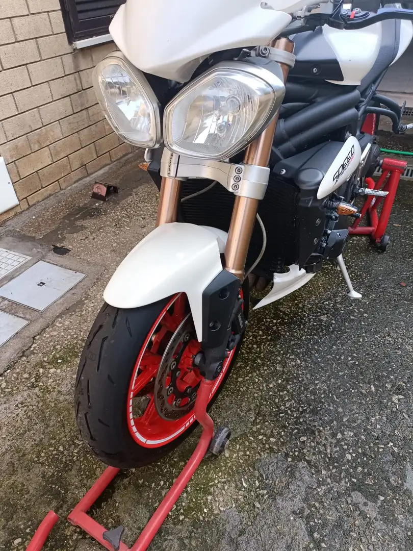 Triumph Speed Triple 1050 Weiß - 2