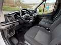 Ford Transit Kasten 350 L3 Trend Blanco - thumbnail 7